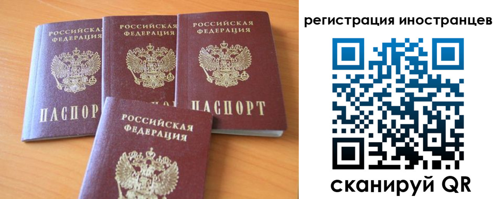временная регистрация гарантия в Торжоке